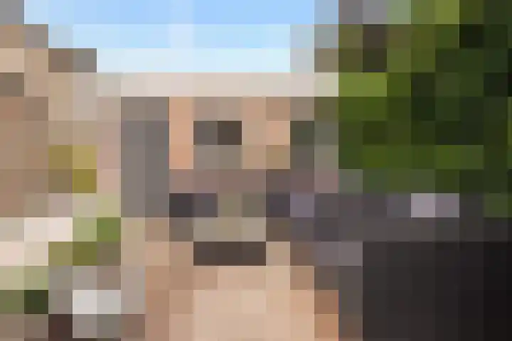 Marijkelaan 3 Vlijmen thumbnail 25