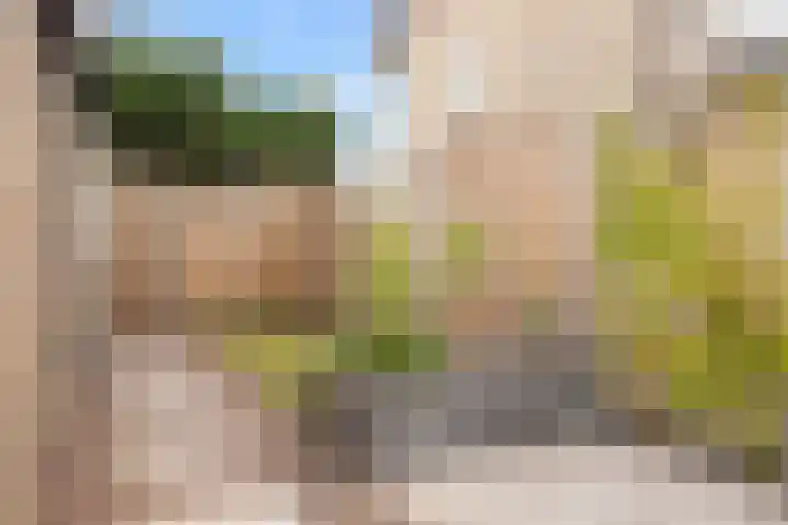 Marijkelaan 3 Vlijmen thumbnail 27