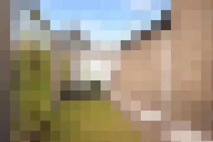 Marijkelaan 3 Vlijmen thumbnail 28