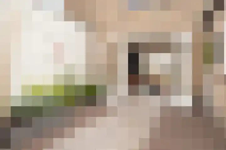 Marijkelaan 3 Vlijmen thumbnail 30