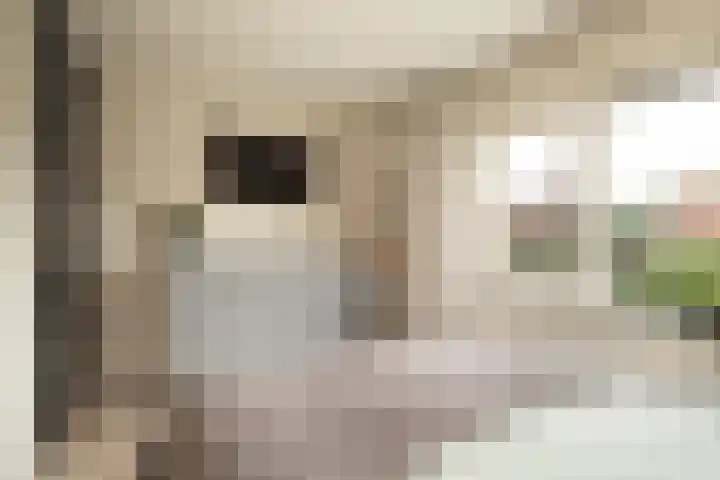 Marijkelaan 3 Vlijmen thumbnail 33