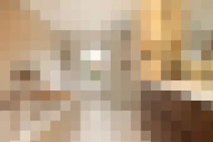 Marijkelaan 3 Vlijmen thumbnail 35