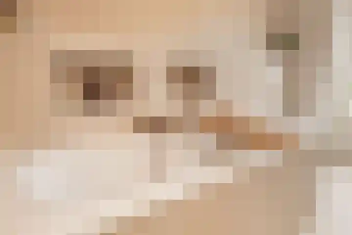 Marijkelaan 3 Vlijmen thumbnail 37