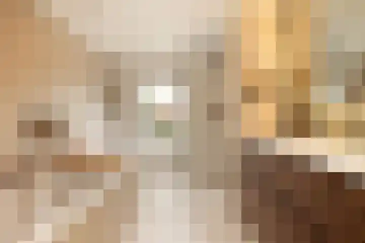 Marijkelaan 3 Vlijmen thumbnail 4