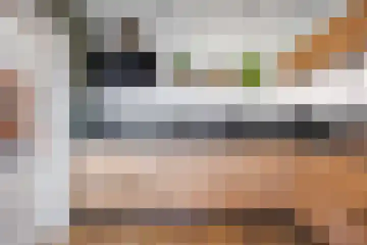 Marijkelaan 31 A Baflo thumbnail 16