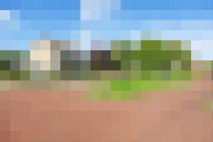 Marijkelaan 31 A Baflo foto 2