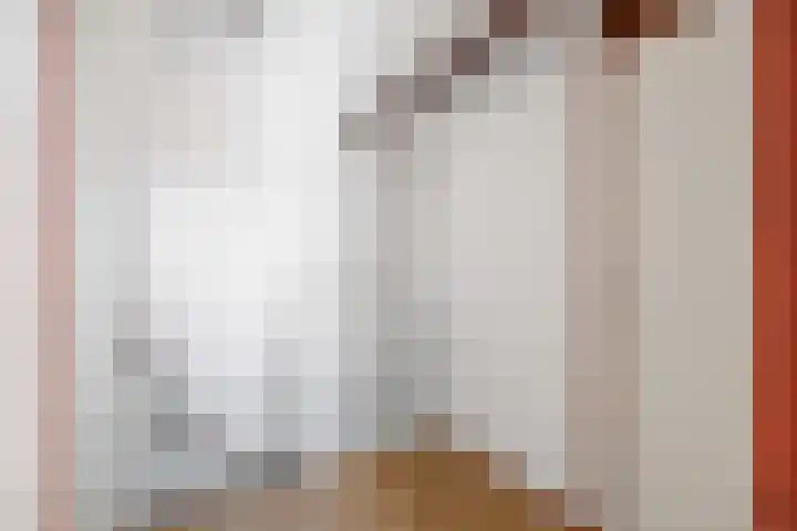 Marijkelaan 31 A Baflo thumbnail 29