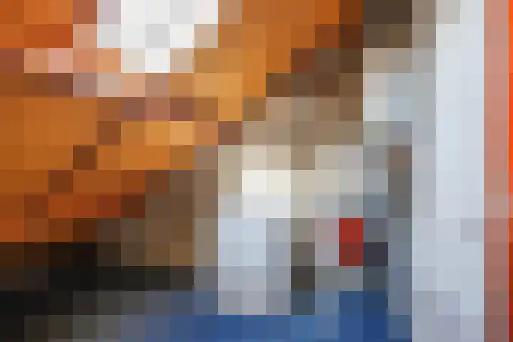 Marijkelaan 31 A Baflo thumbnail 33
