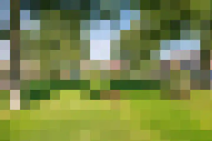 Marijkelaan 31 A Baflo thumbnail 41