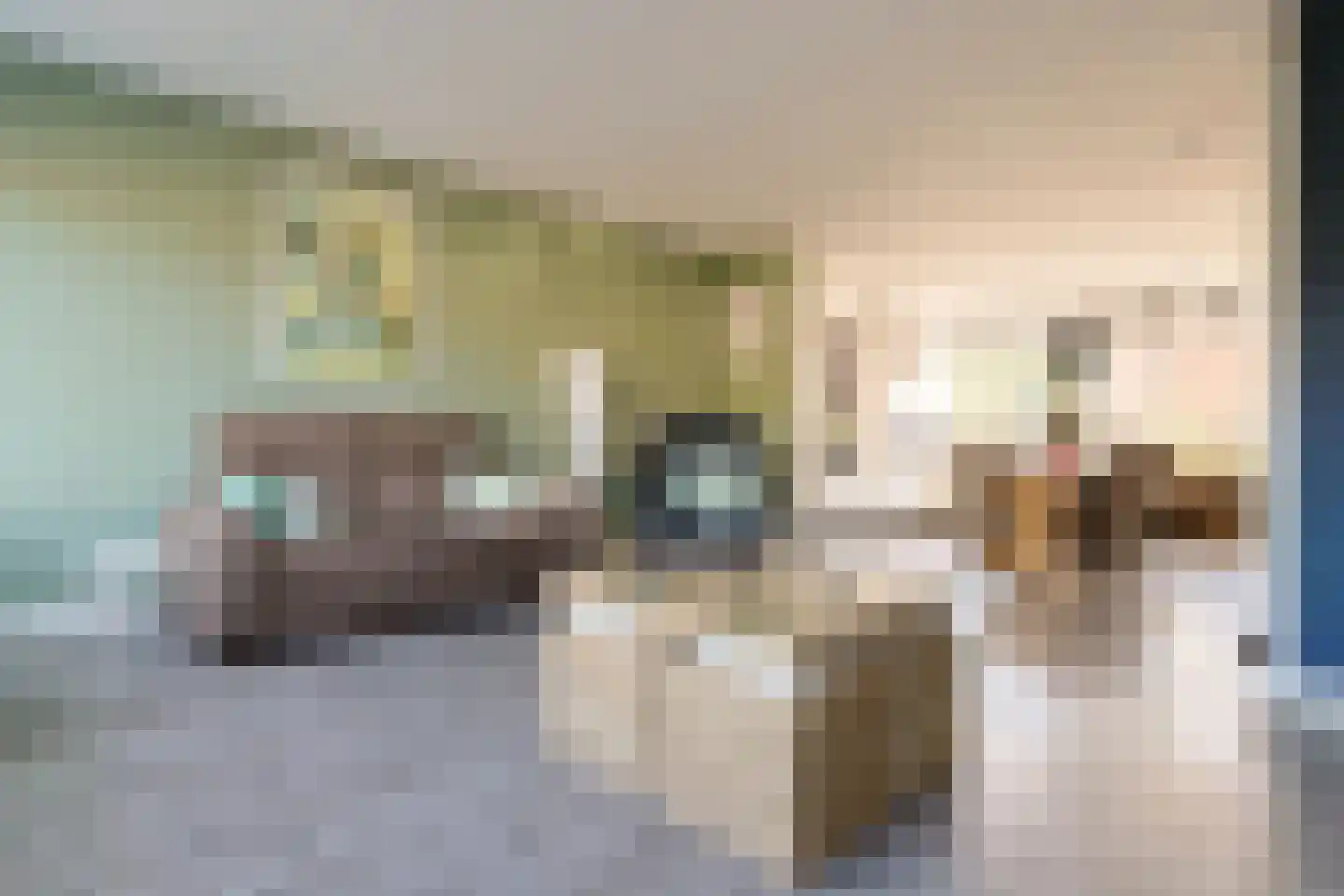 Marijkelaan 31 Nieuwkoop thumbnail 14