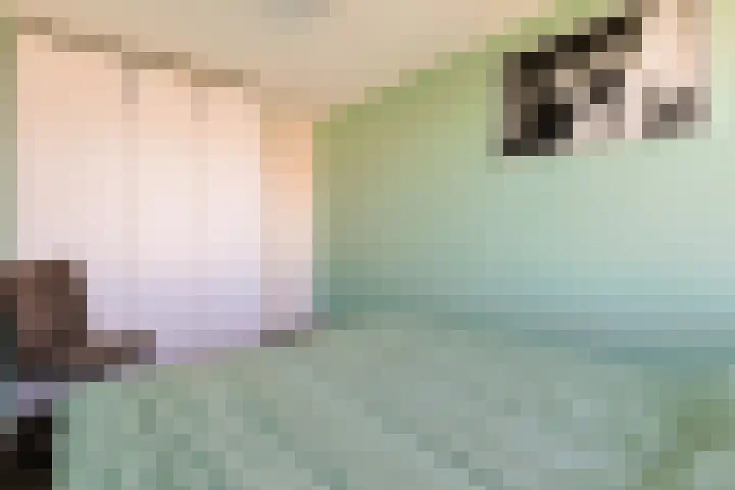 Marijkelaan 31 Nieuwkoop thumbnail 24