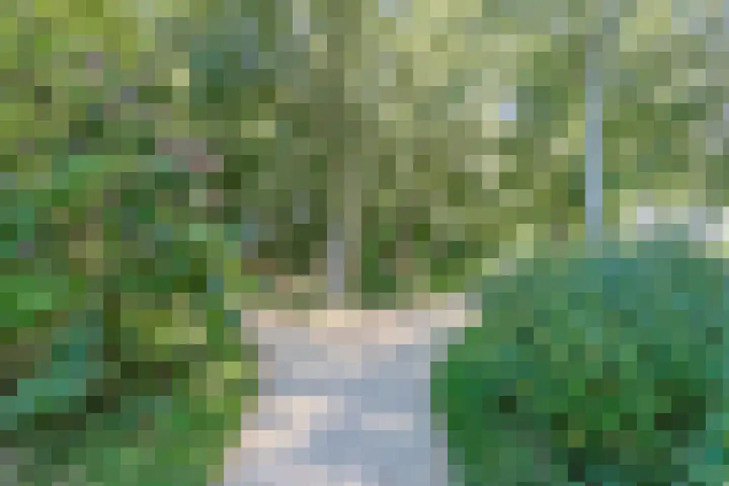 Marijkelaan 31 Nieuwkoop thumbnail 38
