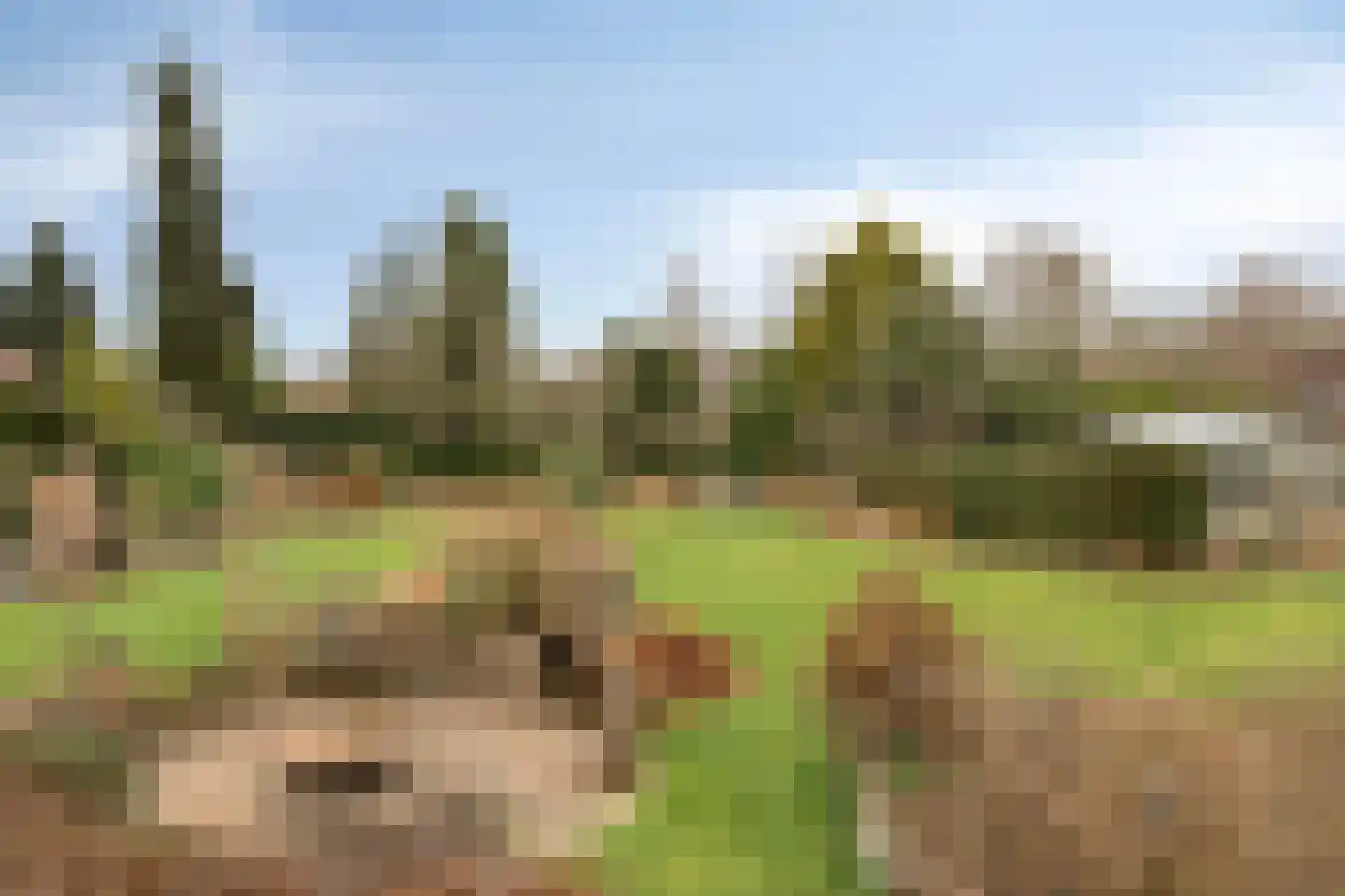 Marijkelaan 35 Melick thumbnail 38