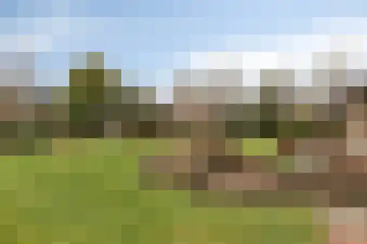 Marijkelaan 35 Melick thumbnail 39