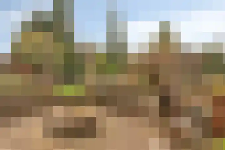Marijkelaan 35 Melick thumbnail 40