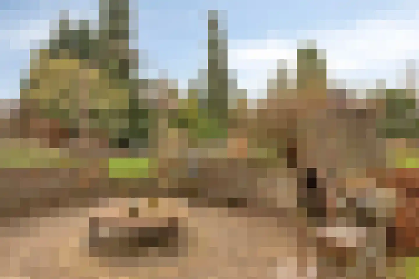 Marijkelaan 35 Melick thumbnail 40