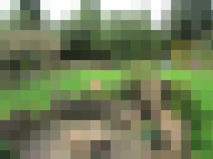 Marijkelaan 35 Melick thumbnail 41