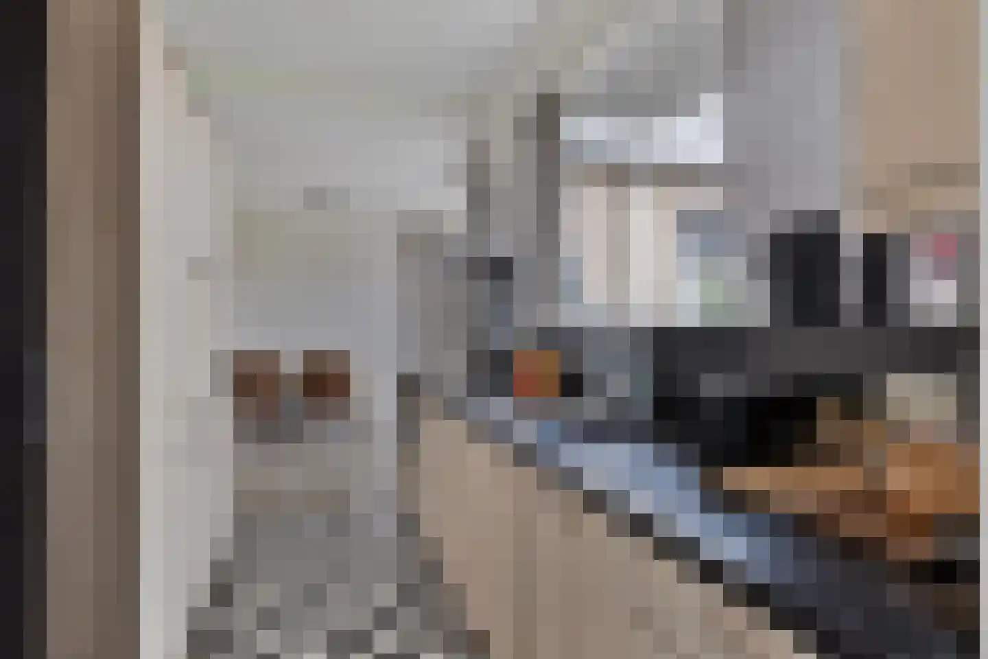 Marijkelaan 37 Yerseke thumbnail 15