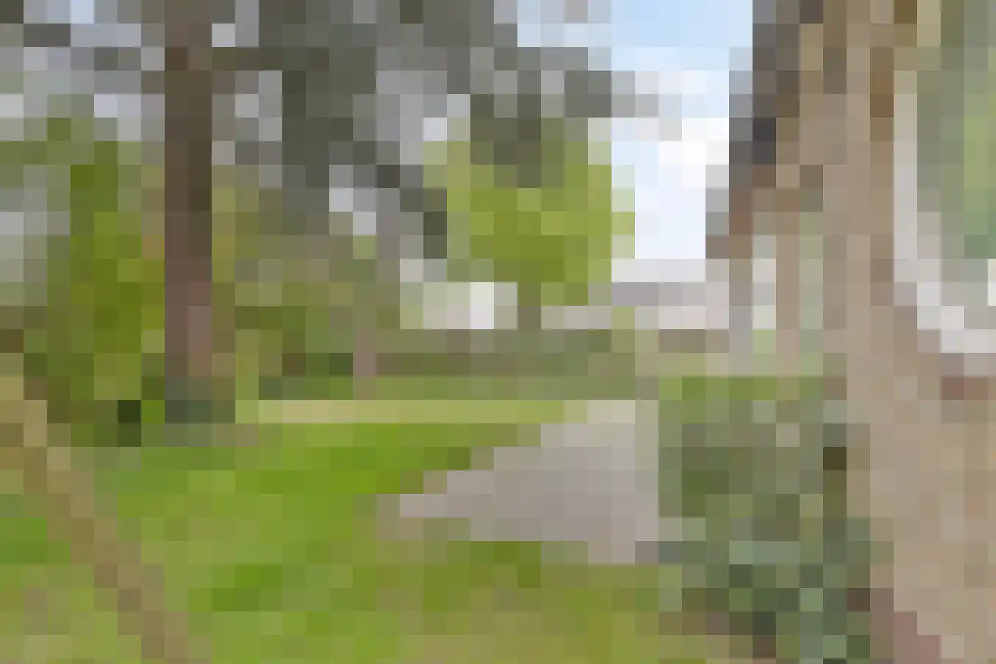 Marijkelaan 37 Yerseke thumbnail 42