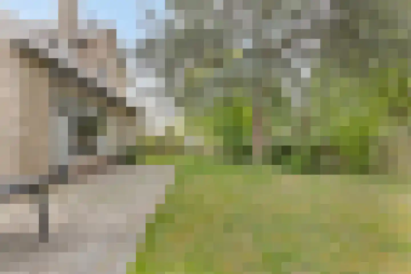 Marijkelaan 37 Yerseke thumbnail 43