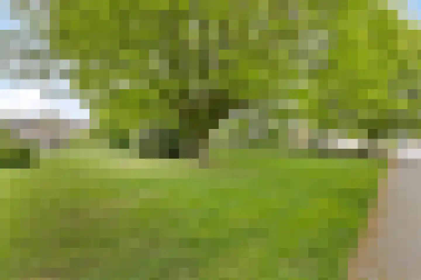 Marijkelaan 37 Yerseke thumbnail 46