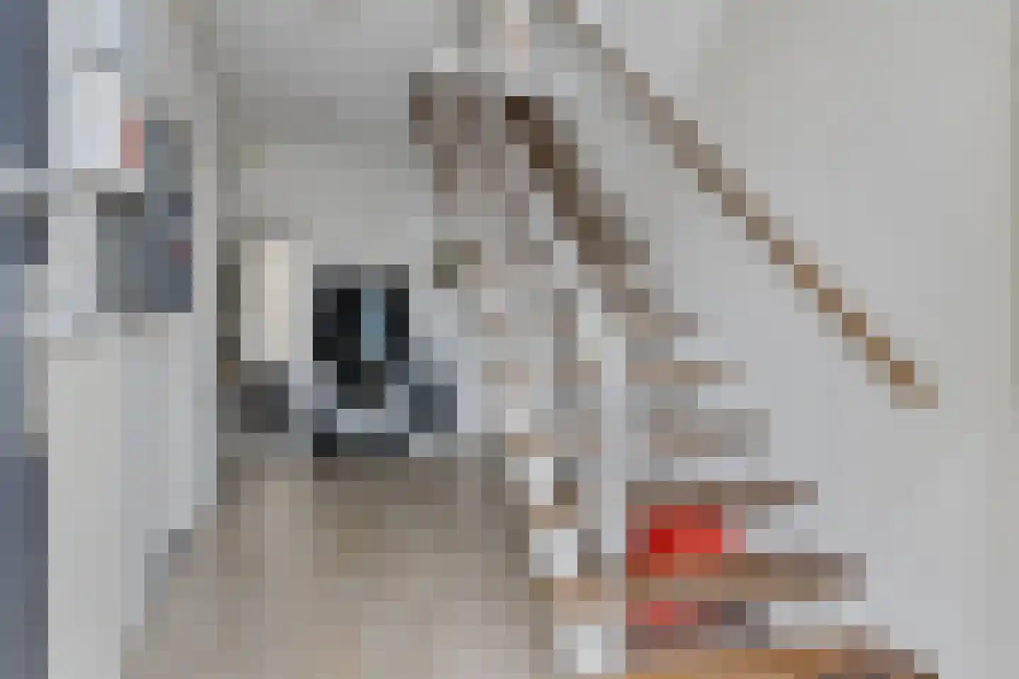Marijkelaan 37 Yerseke thumbnail 9