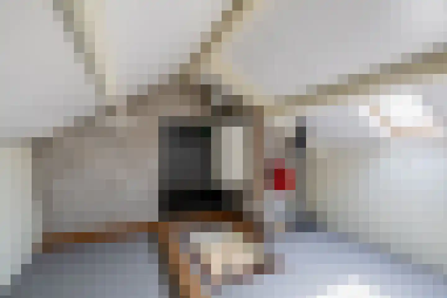 Marijkelaan 38 Melissant thumbnail 26
