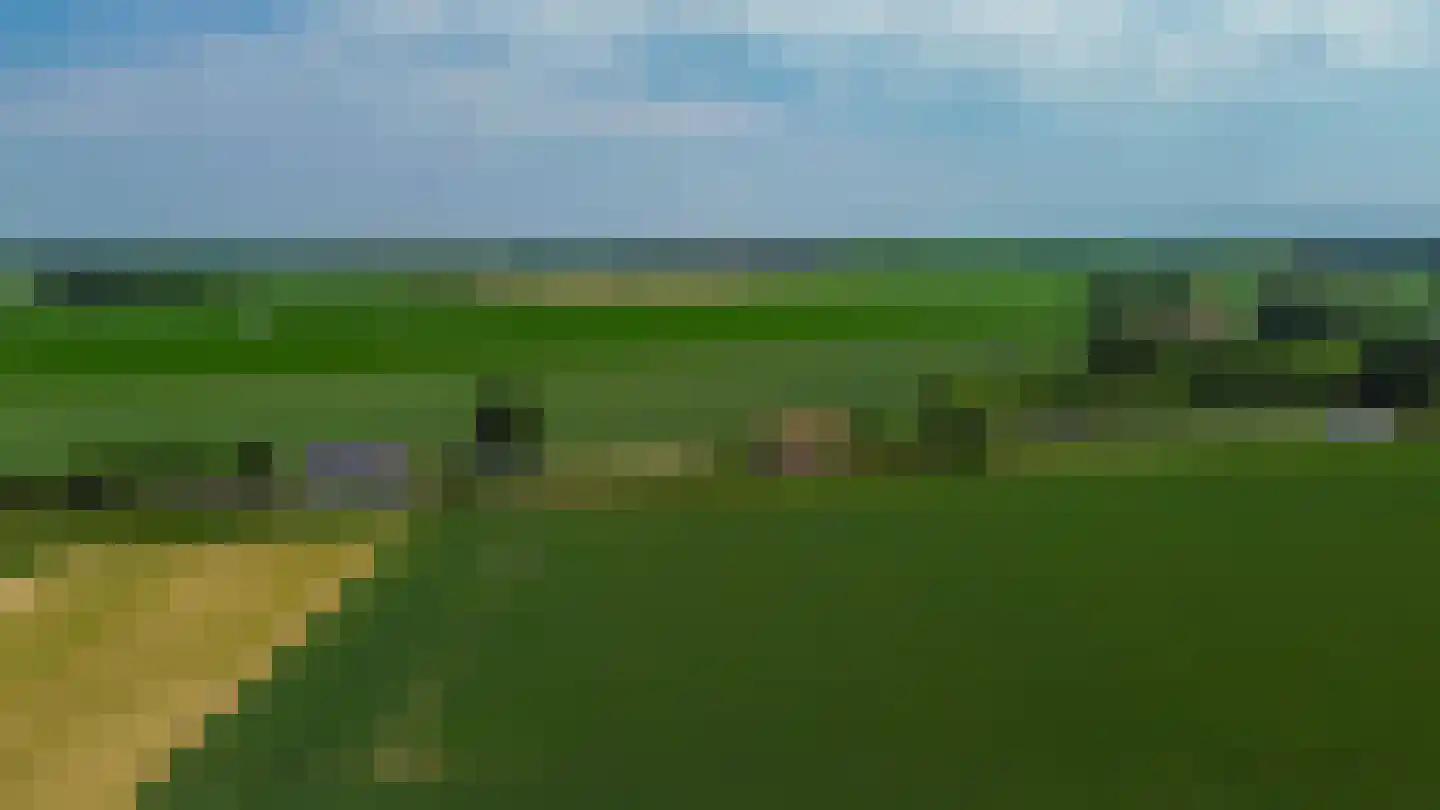 Marijkelaan 38 Melissant thumbnail 36