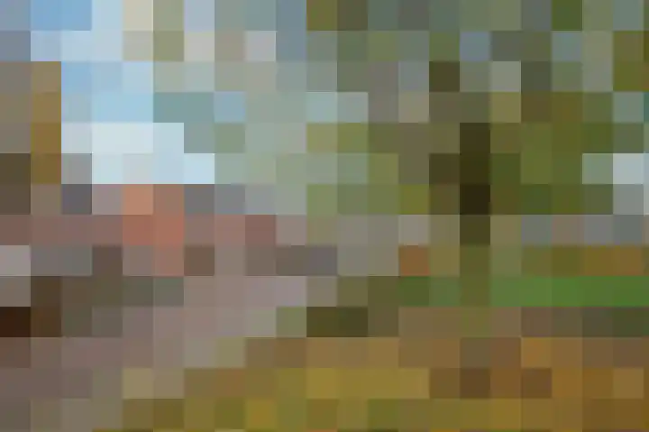 Marijkelaan 39 Roermond thumbnail 24