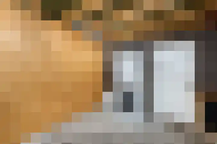 Marijkelaan 46 Enter thumbnail 11