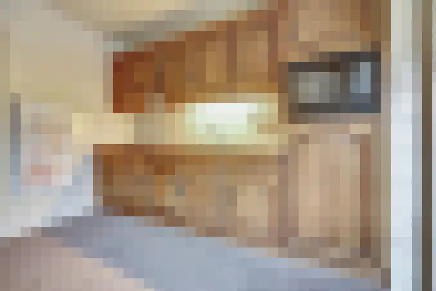 Marijkelaan 6 Vlijmen thumbnail 10