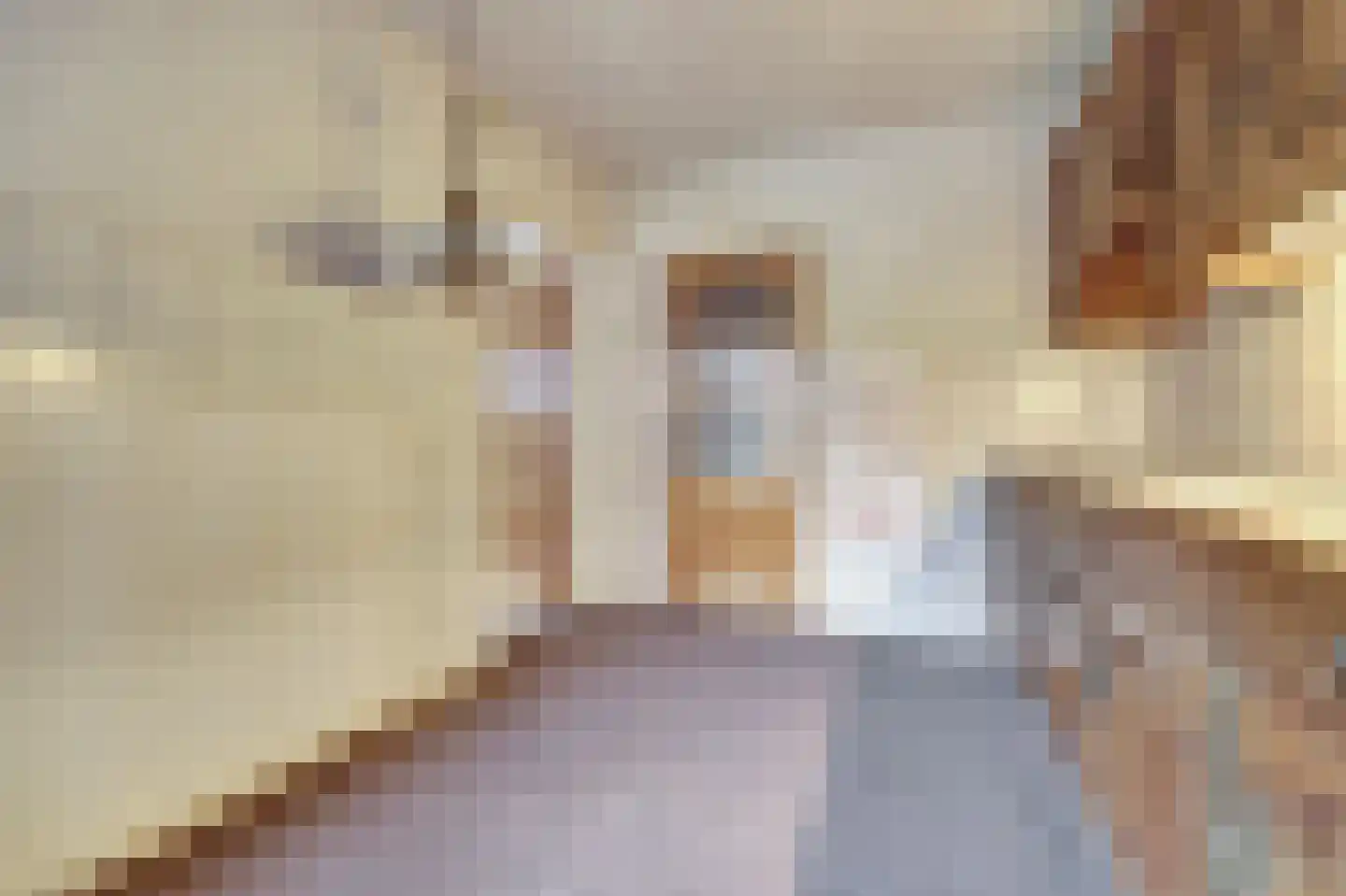 Marijkelaan 6 Vlijmen thumbnail 11