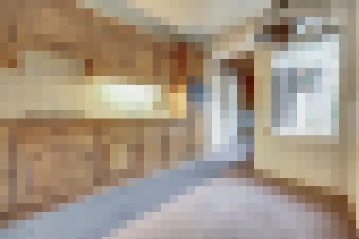 Marijkelaan 6 Vlijmen thumbnail 9