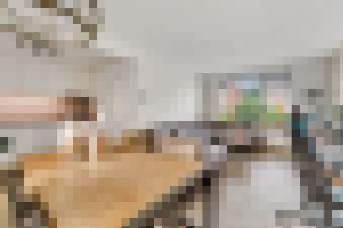 Marijkelaan 60 Enter thumbnail 7