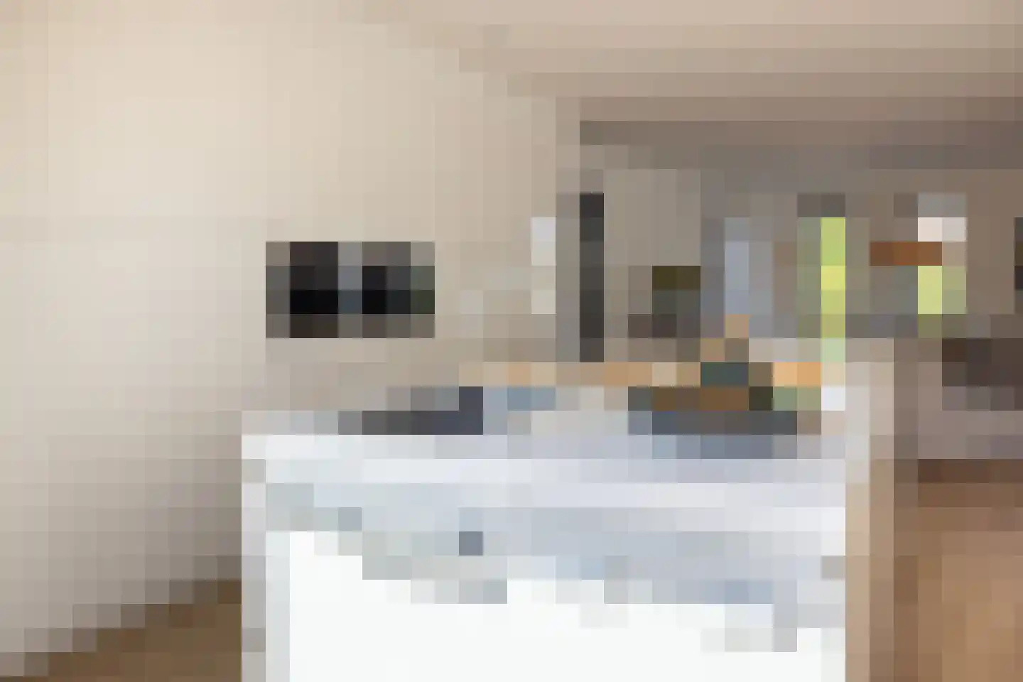 Marijkelaan 7 Kaag thumbnail 14