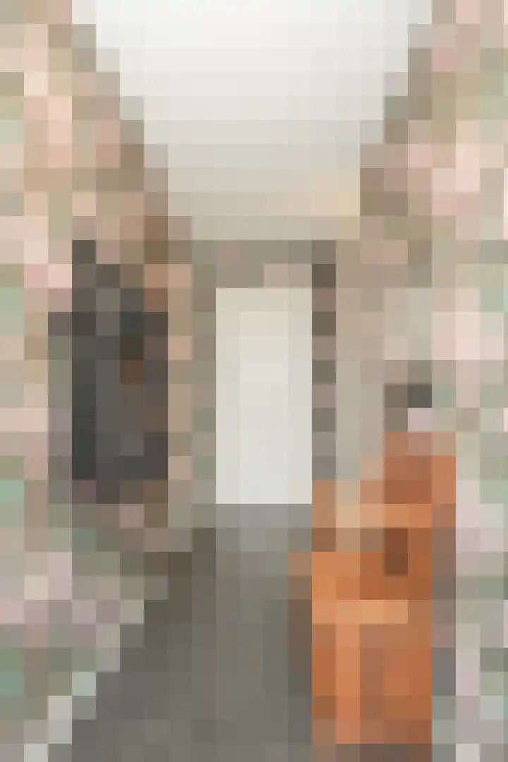 Marijkelaan 9 04 Langbroek thumbnail 11