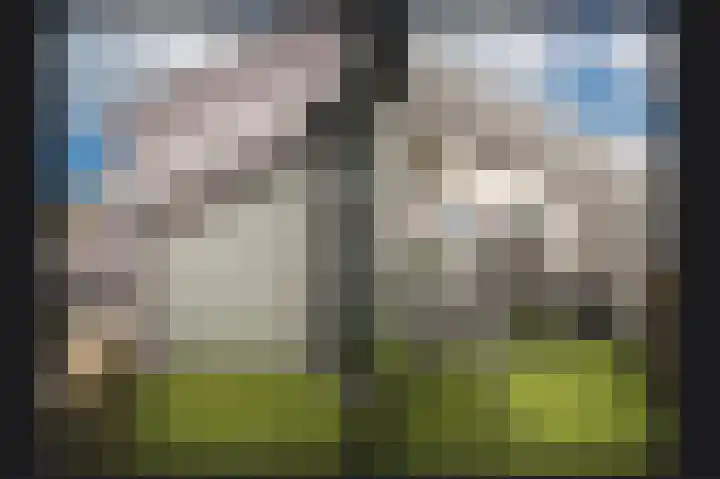 Marijkelaan 9 04 Langbroek thumbnail 12