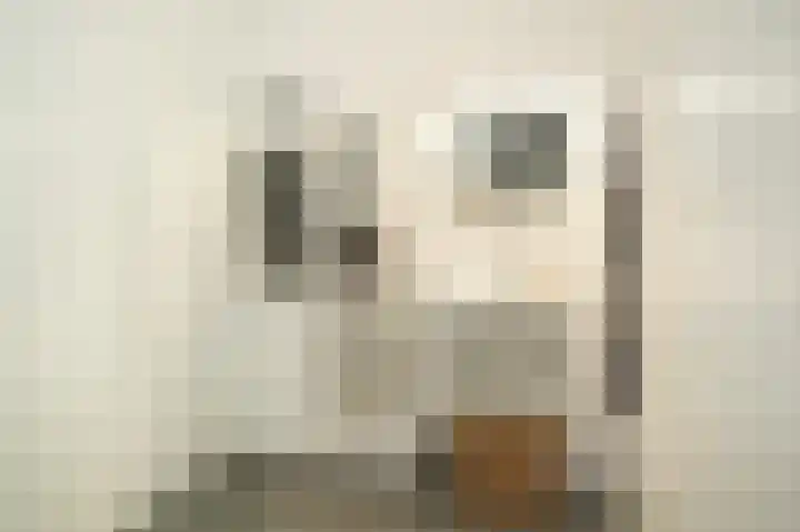 Marijkelaan 9 04 Langbroek thumbnail 8