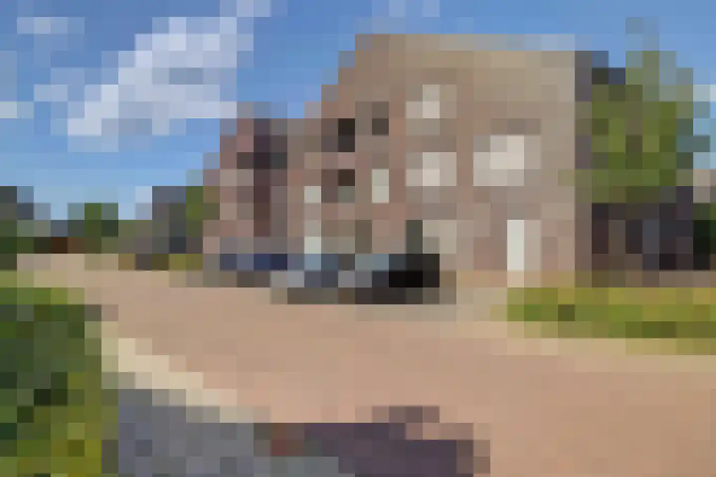 Marijkelaan 9 06 Langbroek thumbnail 33
