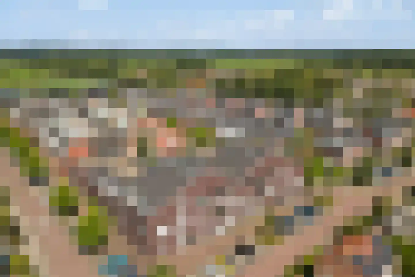 Marijkelaan 9 06 Langbroek thumbnail 34