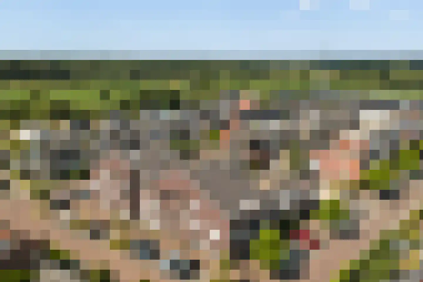 Marijkelaan 9 06 Langbroek thumbnail 35