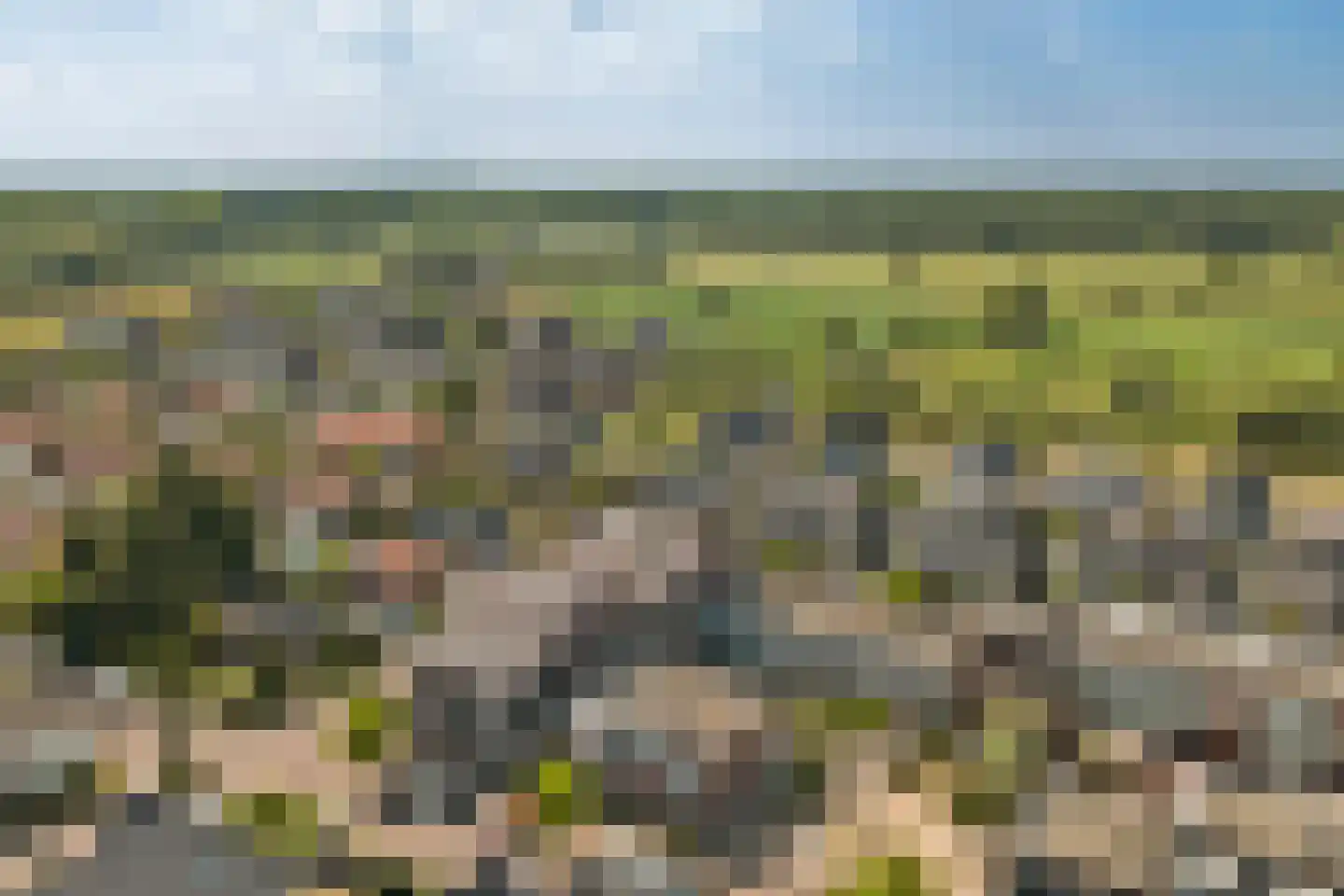 Marijkelaan 9 06 Langbroek thumbnail 37