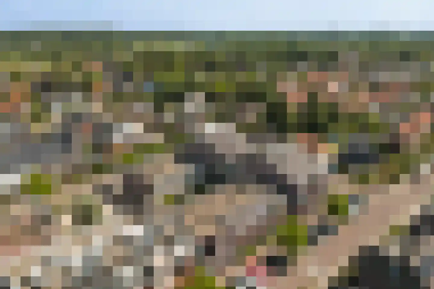 Marijkelaan 9 06 Langbroek thumbnail 38