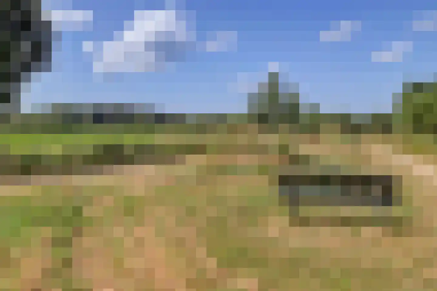 Marijkelaan 9 06 Langbroek thumbnail 39