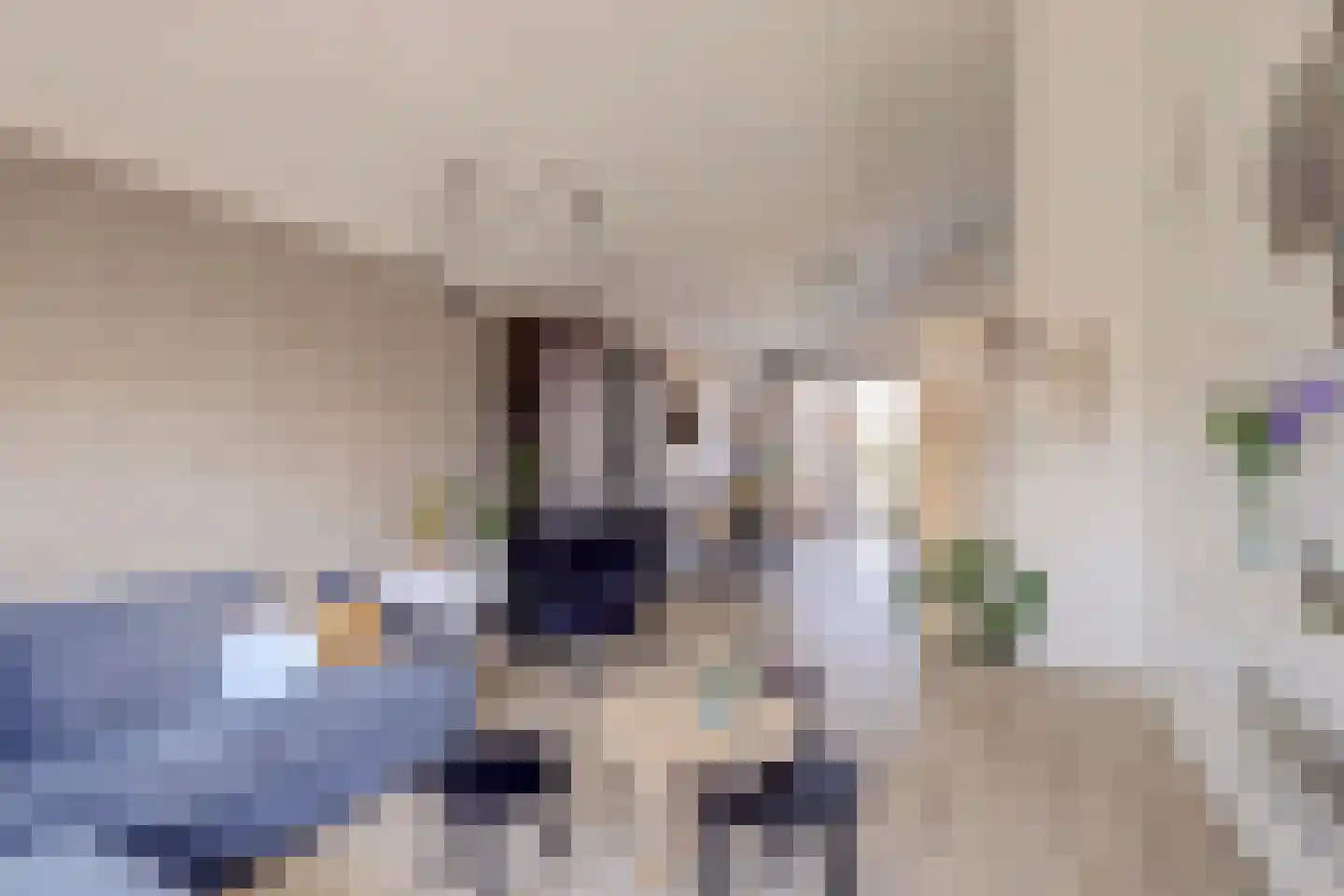 Marijkelaan 9 06 Langbroek thumbnail 5
