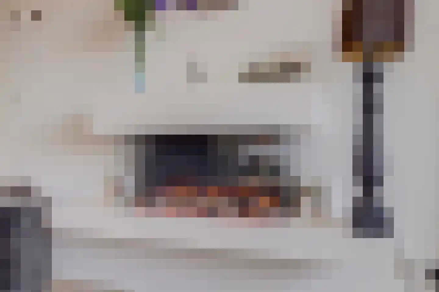 Marijkelaan 9 06 Langbroek thumbnail 6