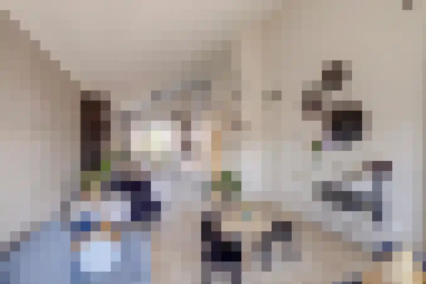Marijkelaan 9 06 Langbroek thumbnail 7