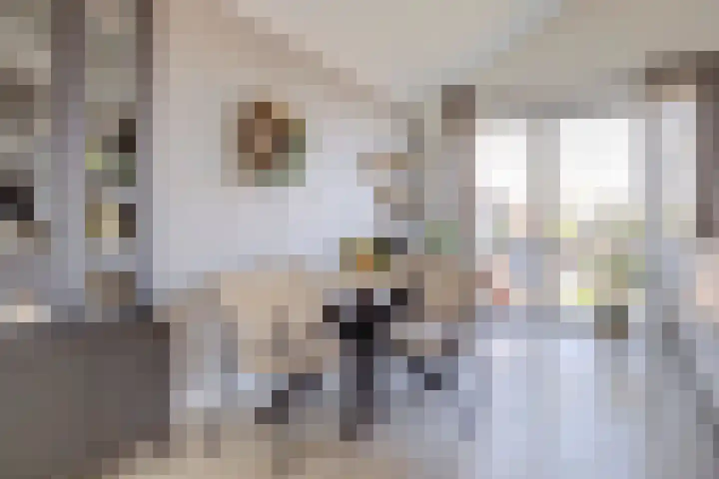 Marijkelaan 9 06 Langbroek thumbnail 8