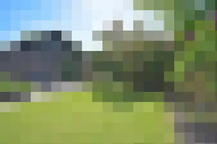 Marijkepaed 38 Noardburgum thumbnail 12
