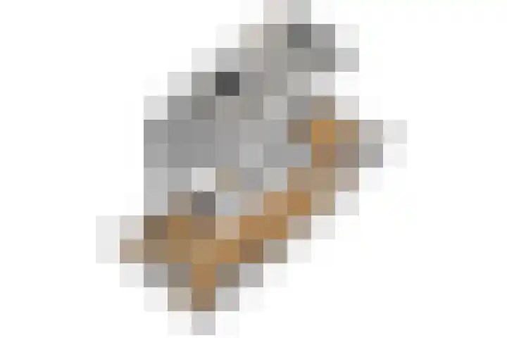 Marijkepaed 38 Noardburgum thumbnail 16